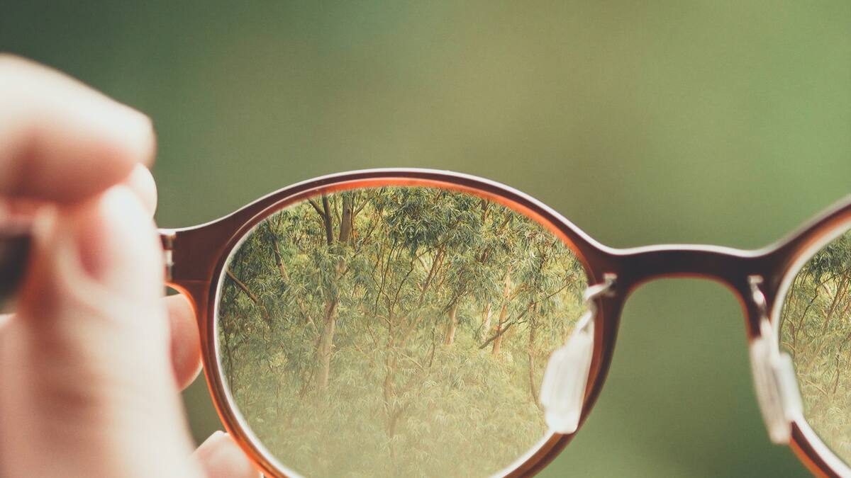 Para 2050 la mitad de la población del planeta necesitará corrección visual. Foto: Unsplash