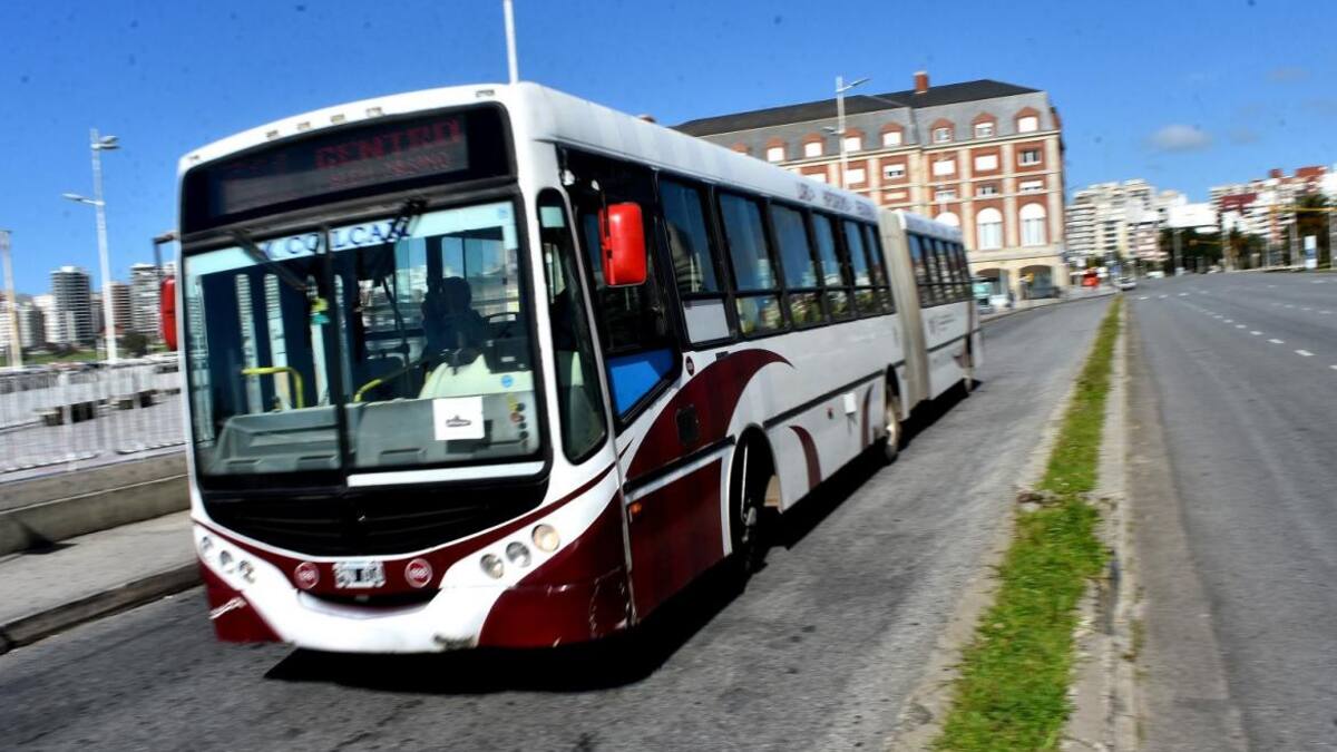 Paro de colectivos en Mar del Plata