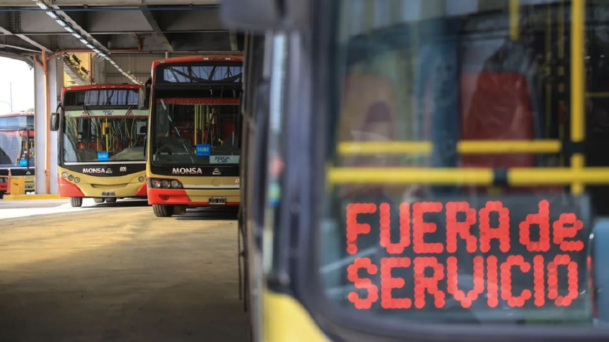 Paro de colectivos de la UTA: qué zonas se verán afectadas y cuándo empieza la medida