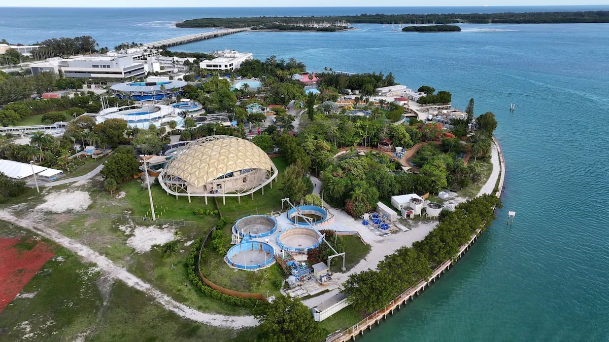 Acusada de maltrato: empresa de parques acuáticos se declaró en quiebra y busca vender más de 2.400 de animales marinos