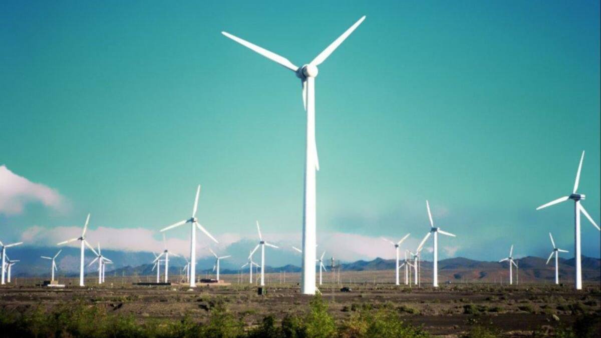Parque éolico, negocio de los Macri