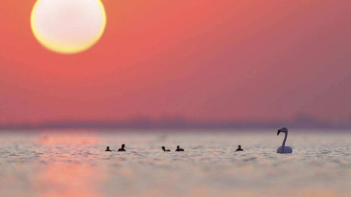 Parque Nacional Ansenuza Foto NA