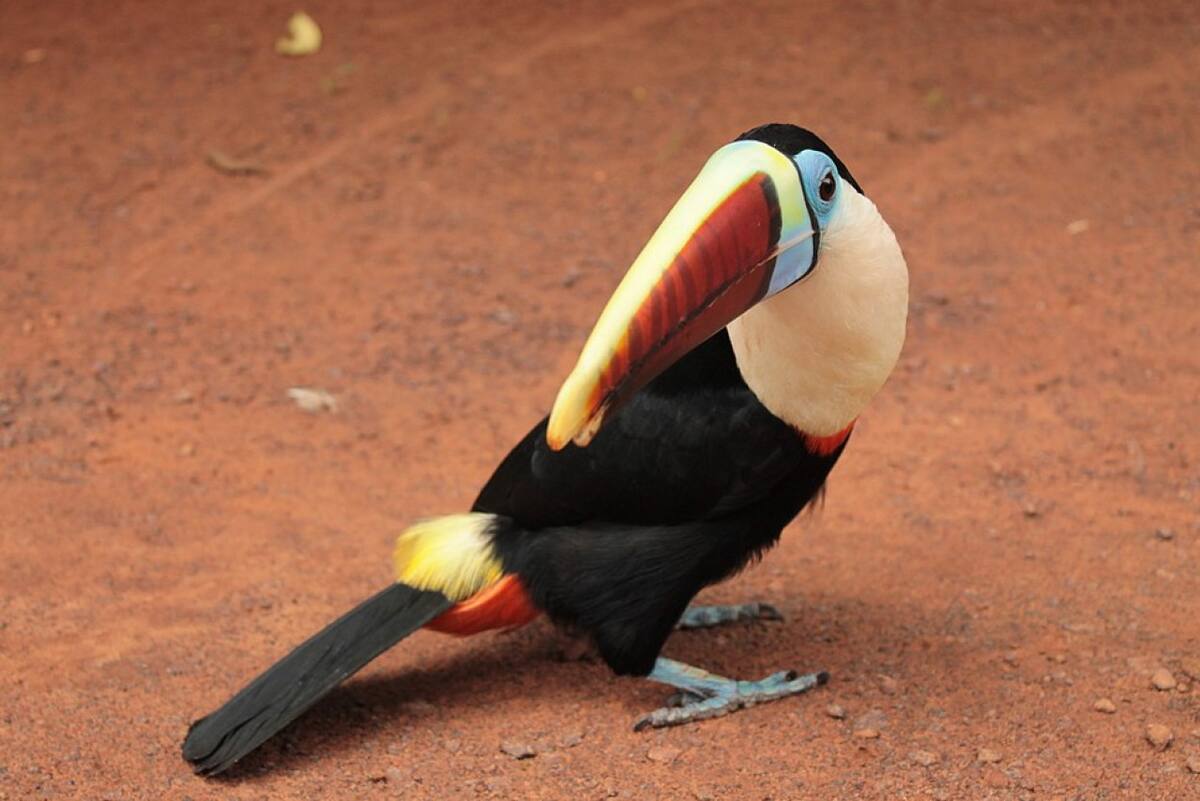 Parque Nacional Canaima, en Venezuela. Foto: Facebook / Parque Nacional Canaima.