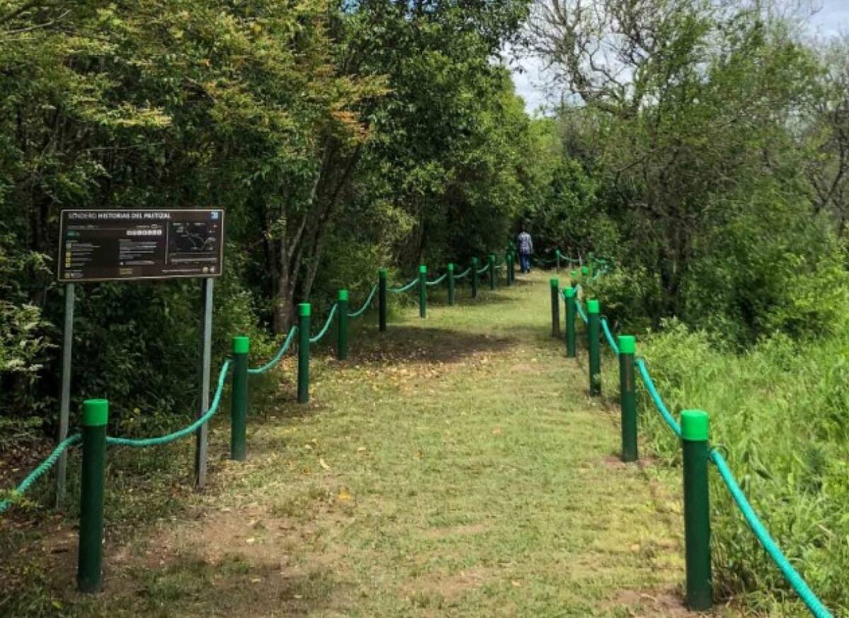 Parque Nacional Ciervo de los Pantanos. Foto: Argentina La Ruta Natural