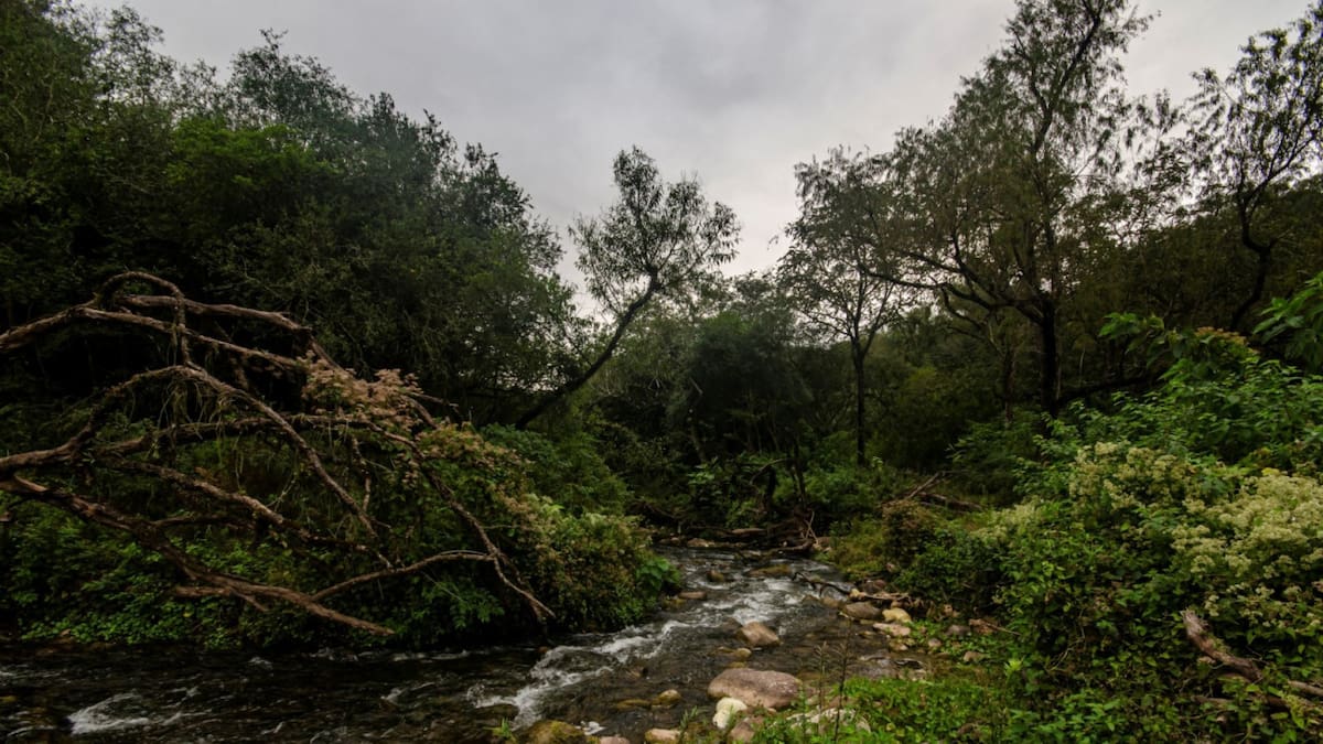Parque Nacional El Rey. Fuente: Parques Nacionales