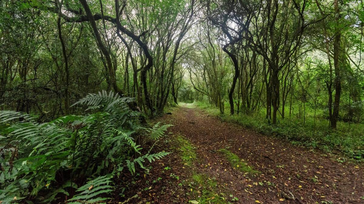 Parque Nacional El Rey. Fuente: Parques Nacionales