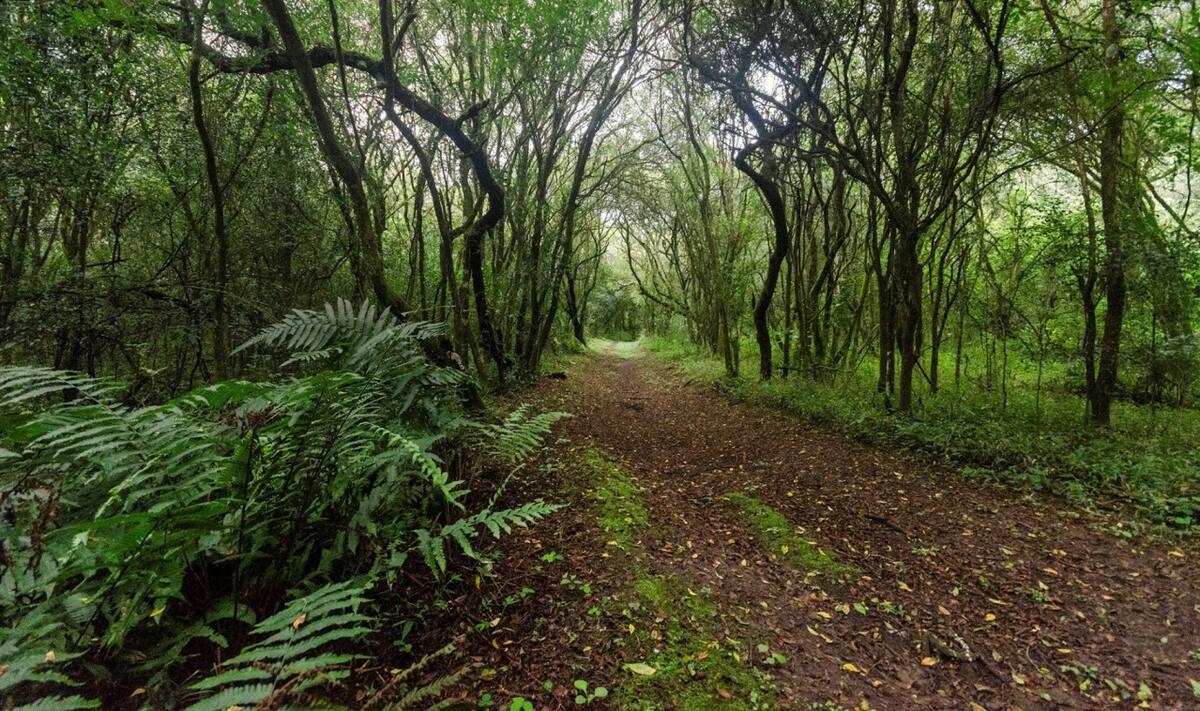 Parque Nacional El Rey. Fuente: Parques Nacionales