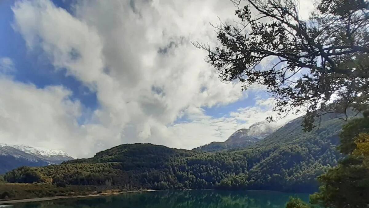 Parque Nacional Los Alerces. Foto: Instagram.