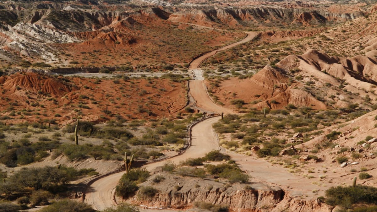 Parque Nacional Los Cardones. Foto: Argentina.gob.ar.