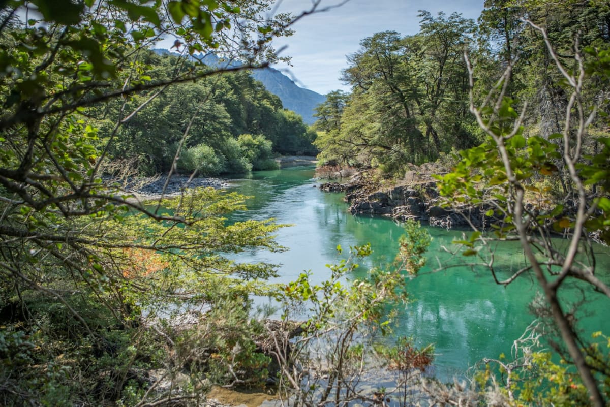 Parque Nacional Nahuel Huapi. Foto: Argentina.gob