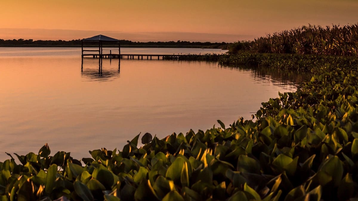 Parque Nacional Río Pilcomayo, Formosa.