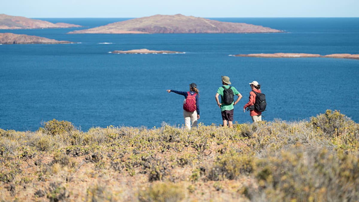 Pocos barcos y naturaleza intacta: el refugio de las ballenas en un rincón oculto de Chubut
