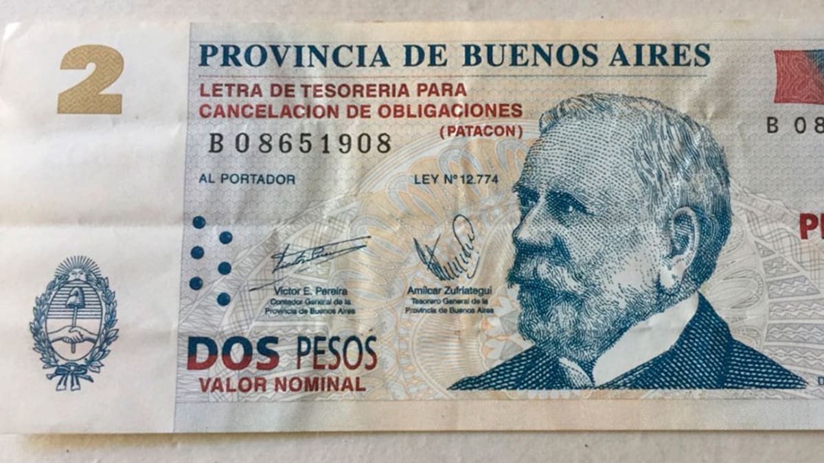 Patacones, patacón