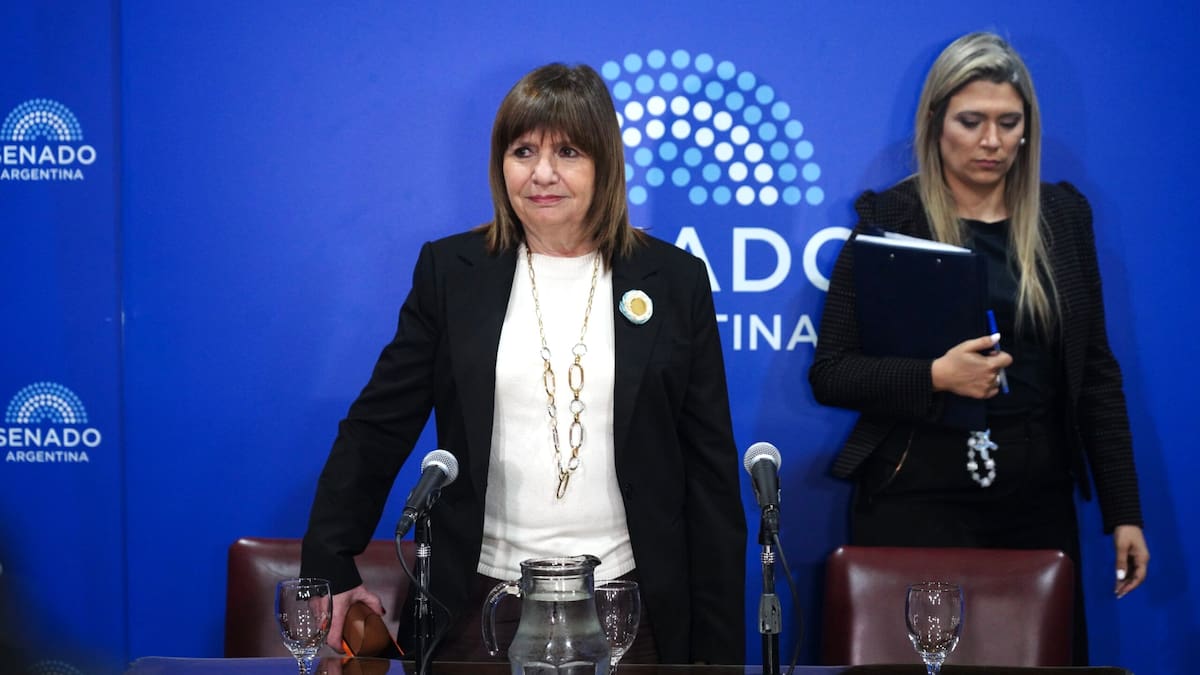 La jefa del bloque de LLA en el Senado afirmó que “es un acuerdo muy bueno para el país”