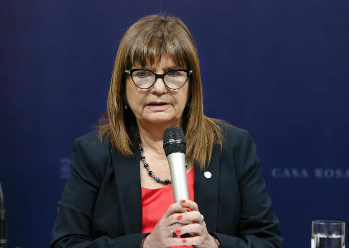 Patricia Bullrich. Foto: NA