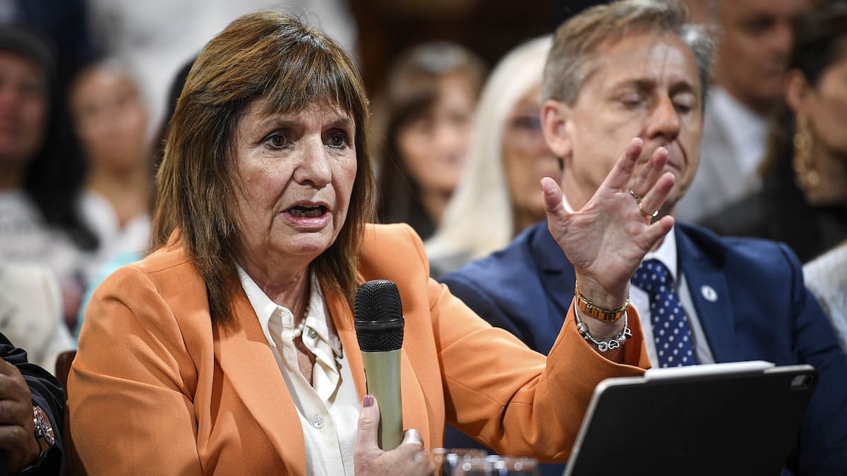 Patricia Bullrich anunció los cambios en el proyecto de la Ley de Tierras: “Los estados extranjeros no pueden comprar un gramo”