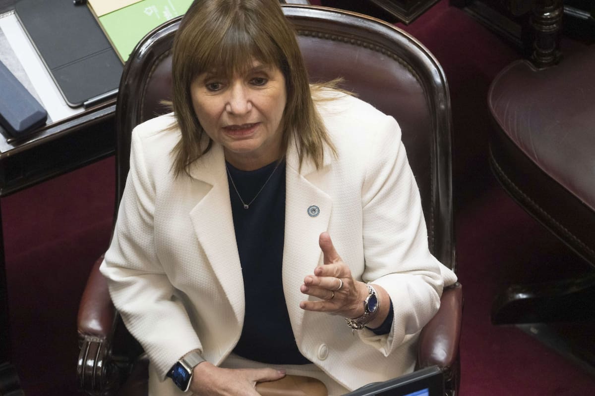 Patricia Bullrich, senadora.