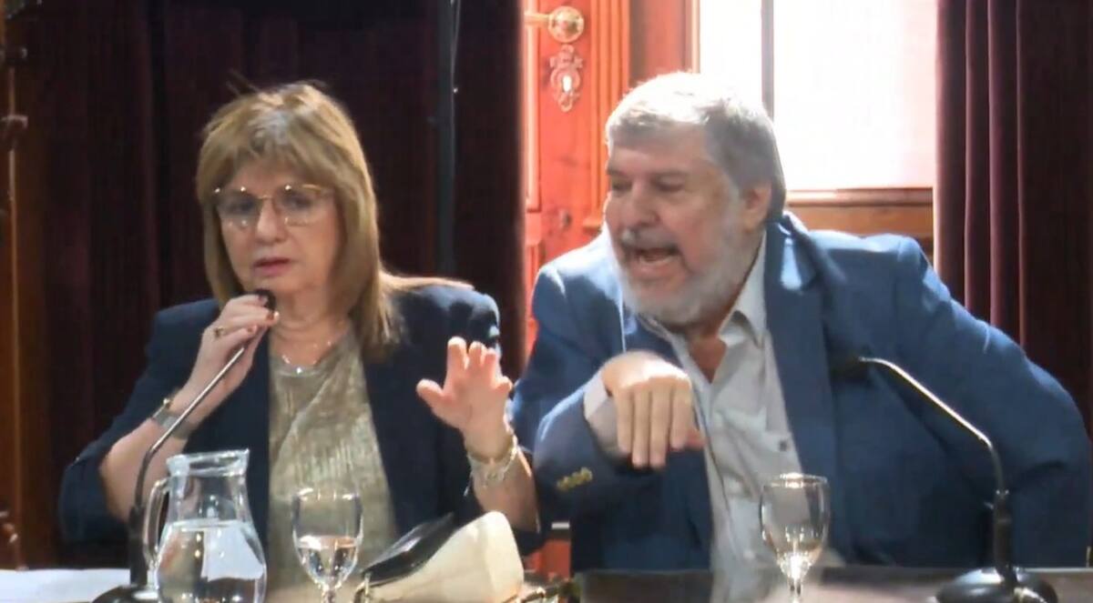 Patricia Bullrich y José Mayans en el Senado