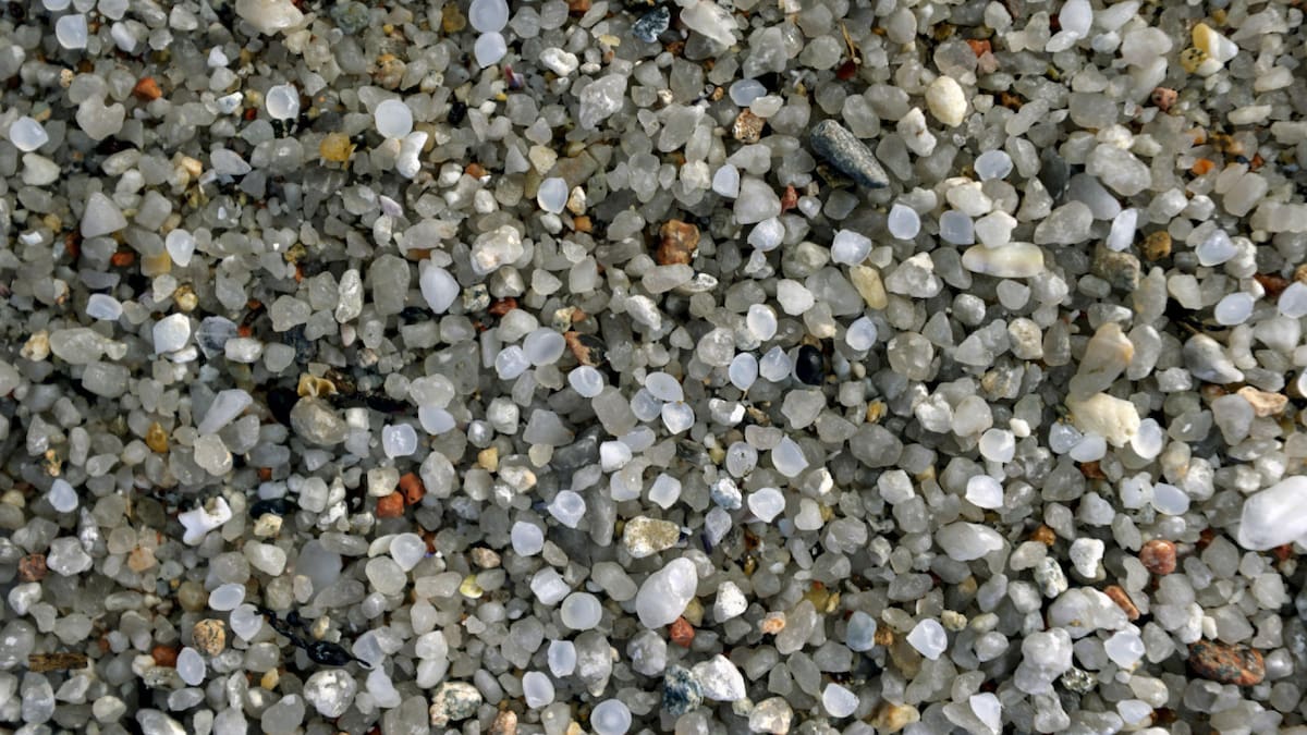 Pellets, contaminación. Foto: EFE