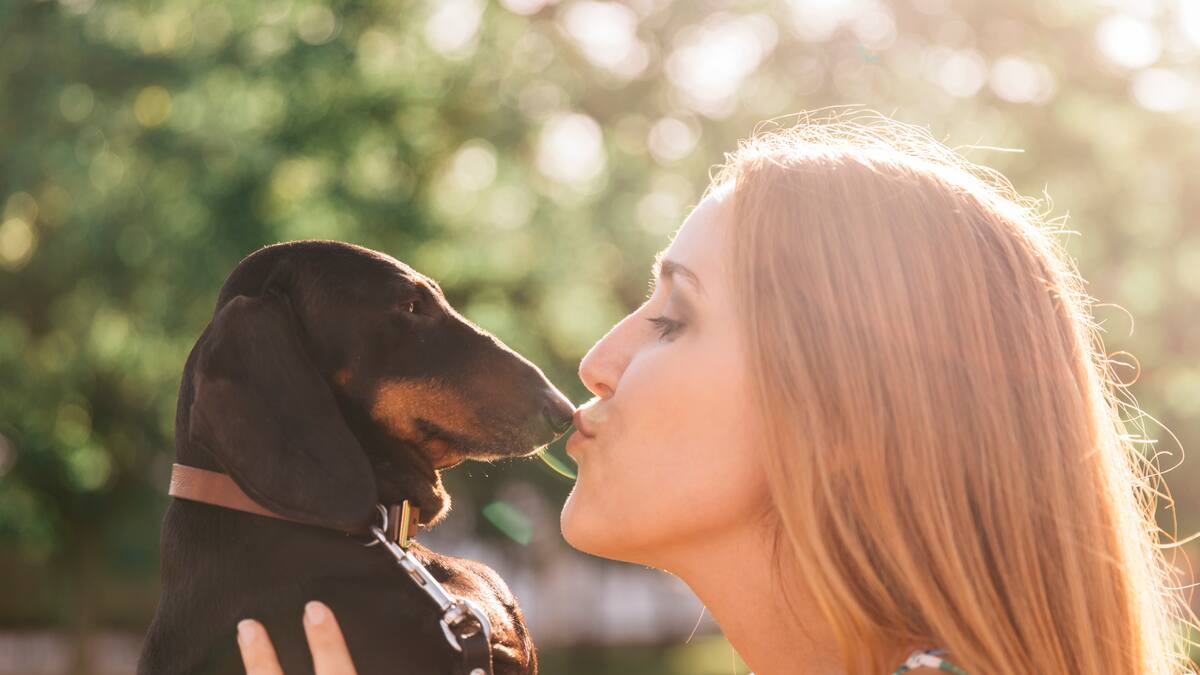 Darle un beso a un perro es más higiénico que a un hombre, según la ciencia.