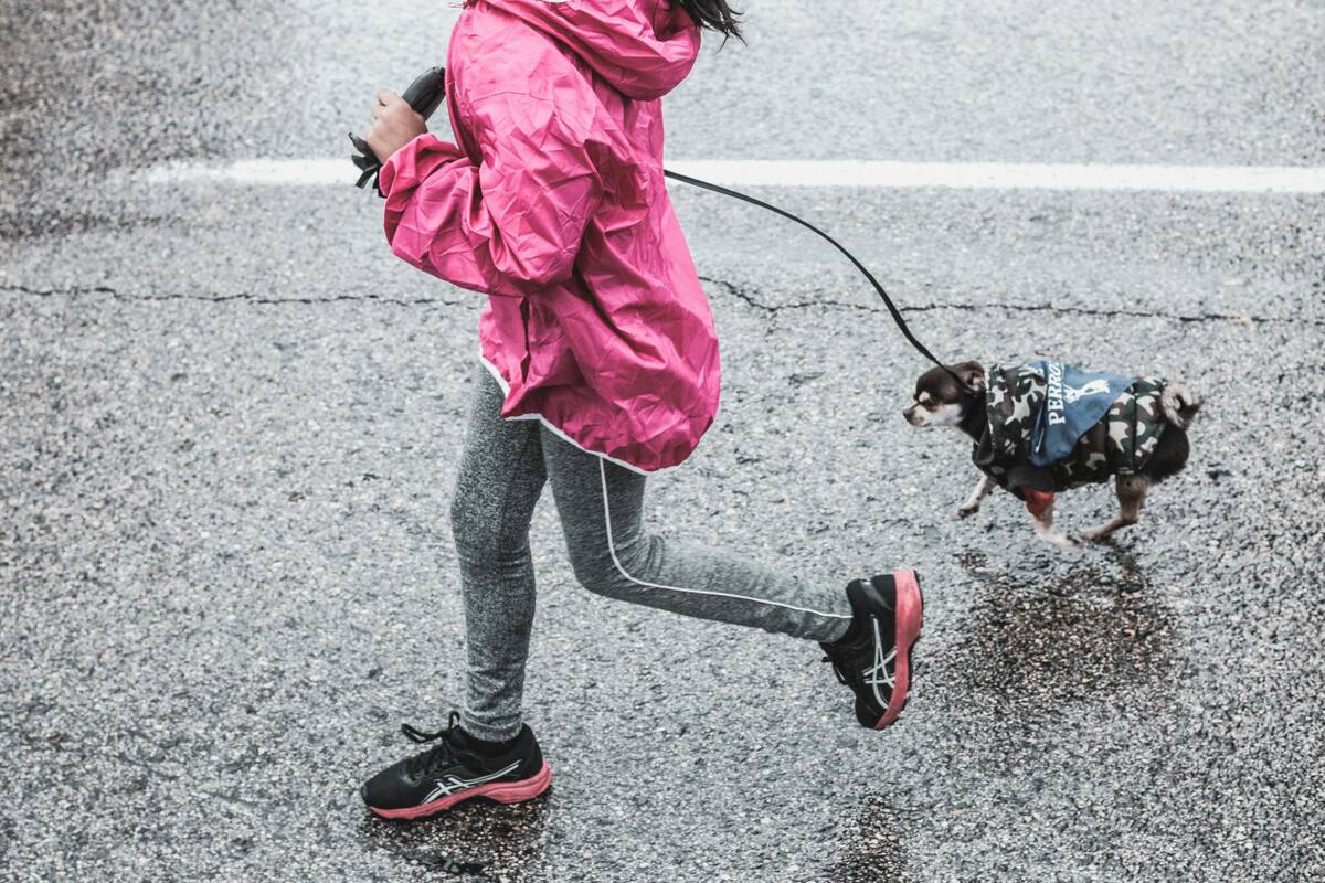 Perro, correr, ejercicio. Fuente: Planeta