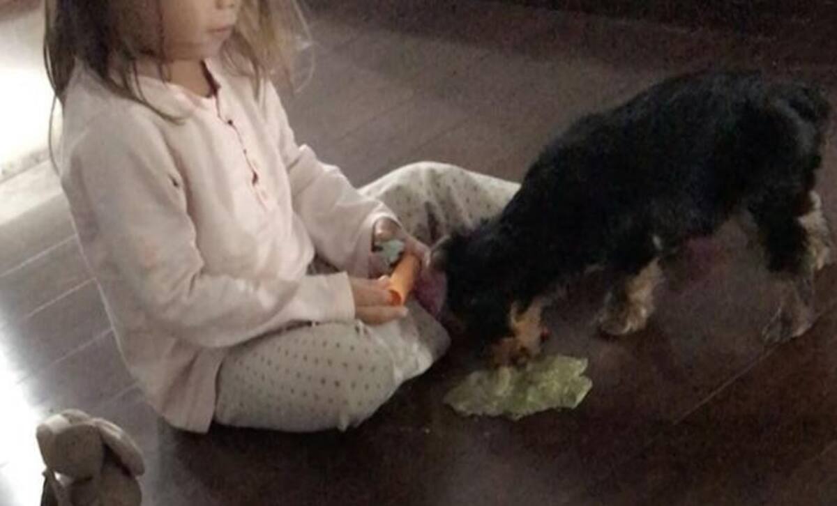 Perro de Cinthia Fernández