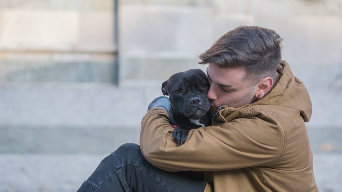 No es recomendable abrazar a los perros. Foto: Unsplash.