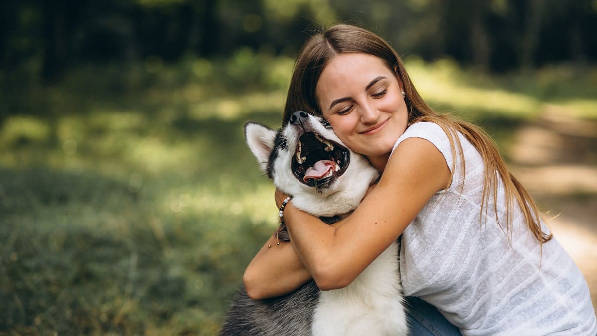 Dulces, cariñosos o agresivos: qué es lo que determina el comportamiento de un perro, según la ciencia