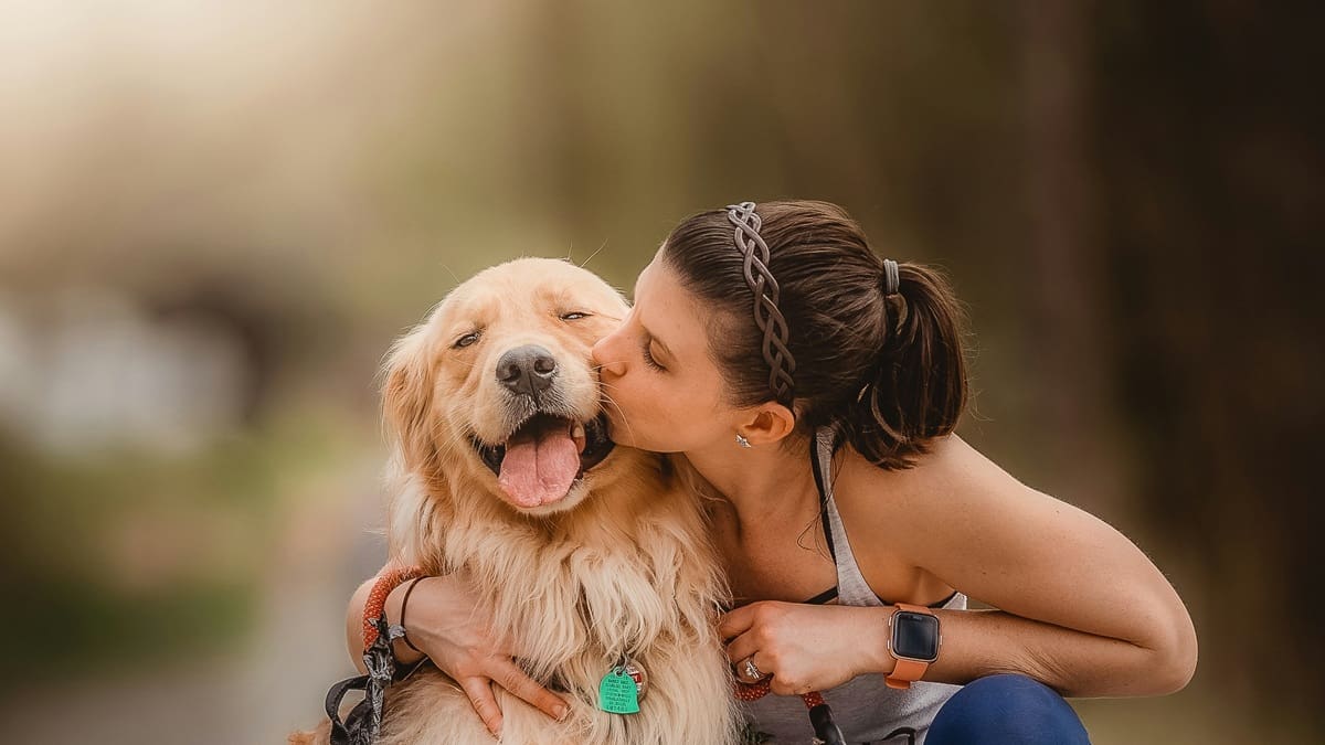 Veterinarios coinciden: “La persona favorita de los perros es la que juega, pasea y pasa más tiempo con ellos”