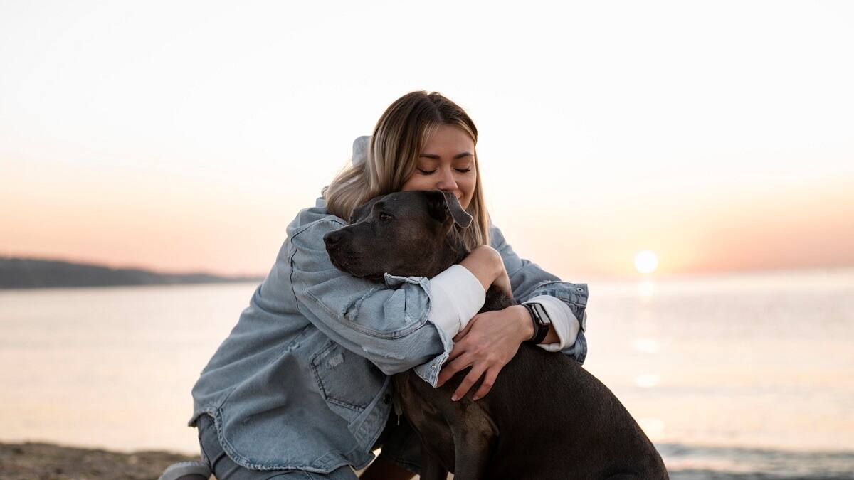 Los beneficios de adoptar un perro viejito.