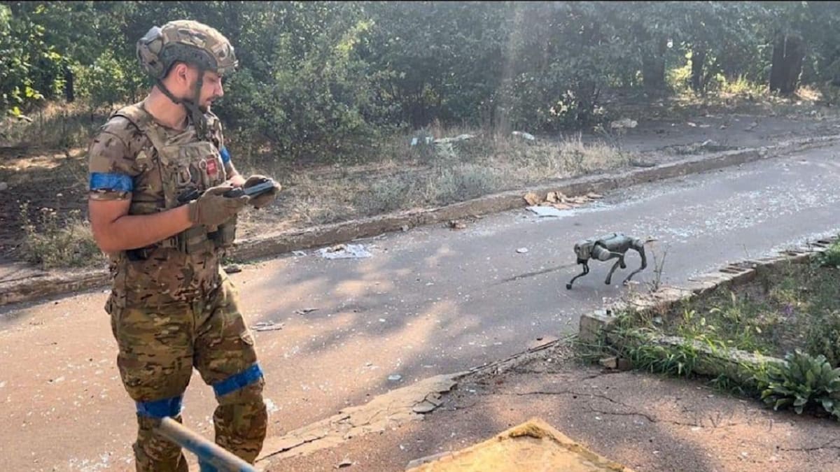 Perros robots en la guerra entre Ucrania y Rusia. Foto: X @ukrbravery