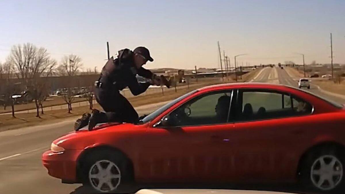 Persecusión con el policía en el capó del auto. Foto onpatrolk9.
