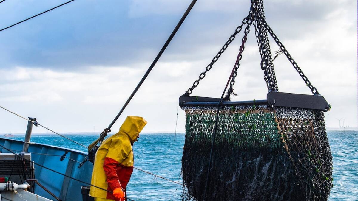 Pesca argentina. Fuente: Noticias Ambientales