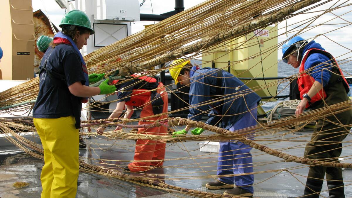 Pesca de arrastre. Foto: Unsplash