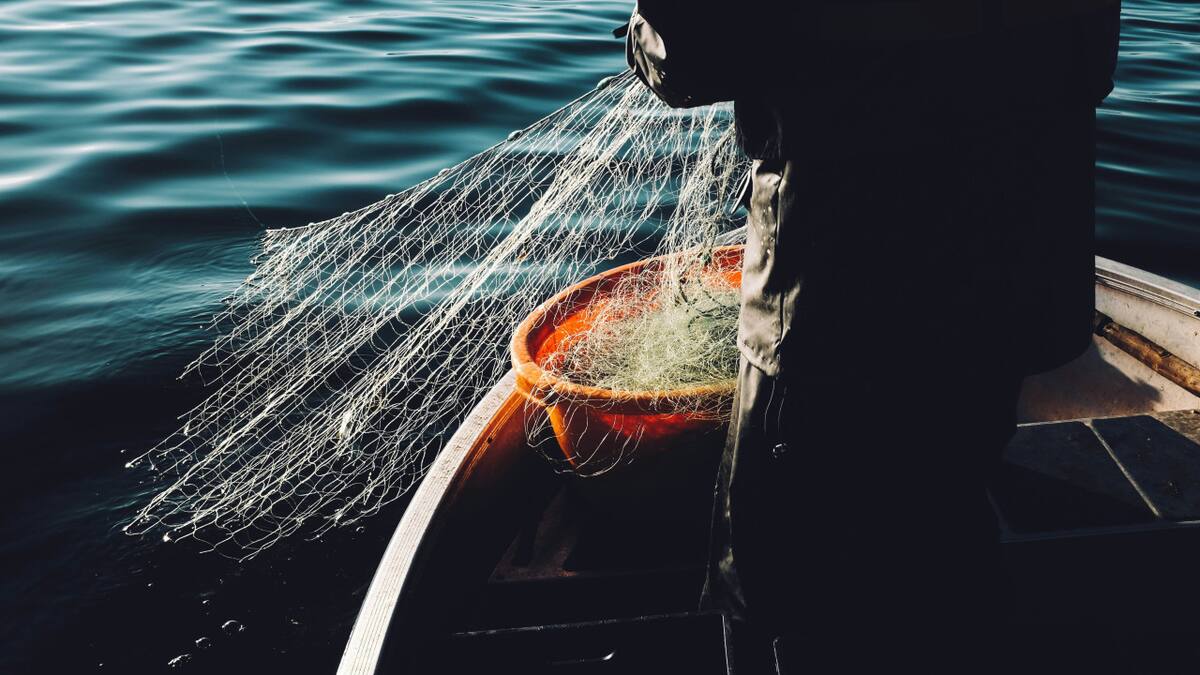 Redes de pesca. Foto: Unplash.