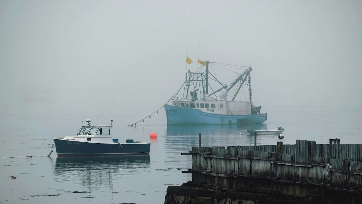 Pesca de arrastre. Foto: Unsplash