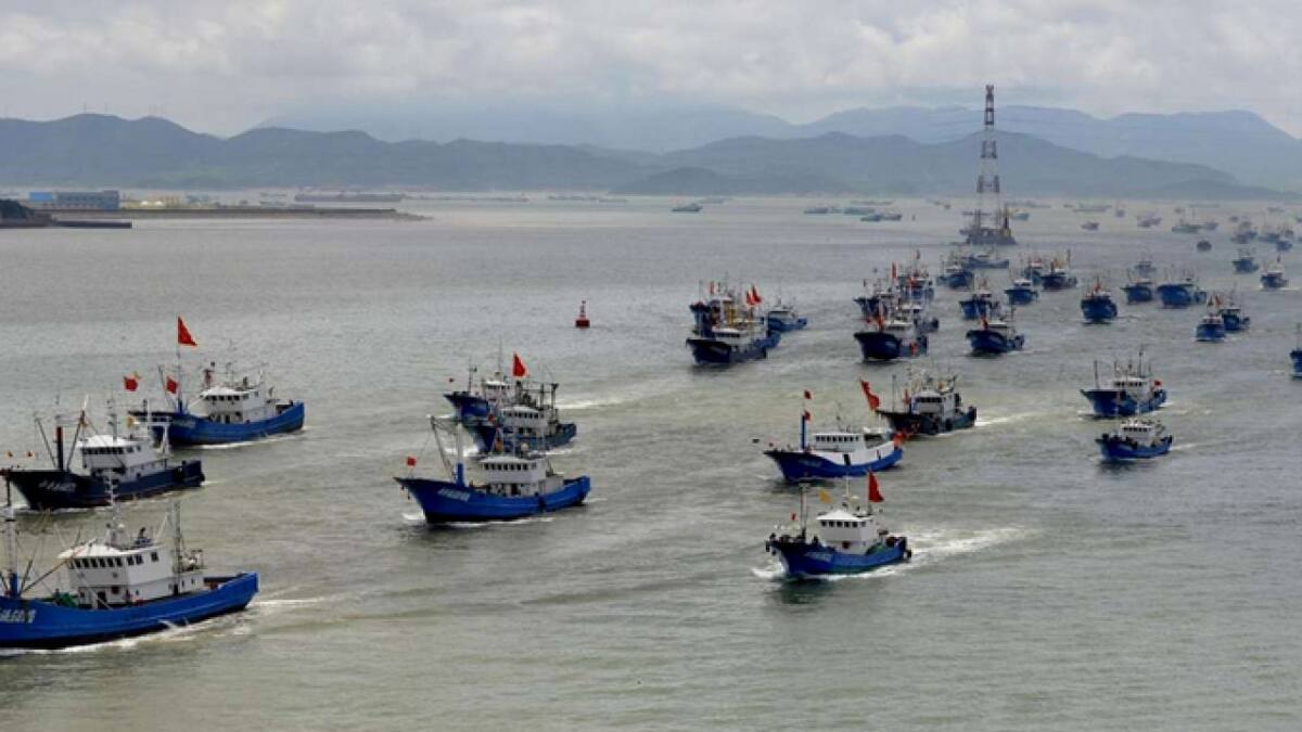 Pesca ilegal china en América Latina. Foto: X @eduardopadula5