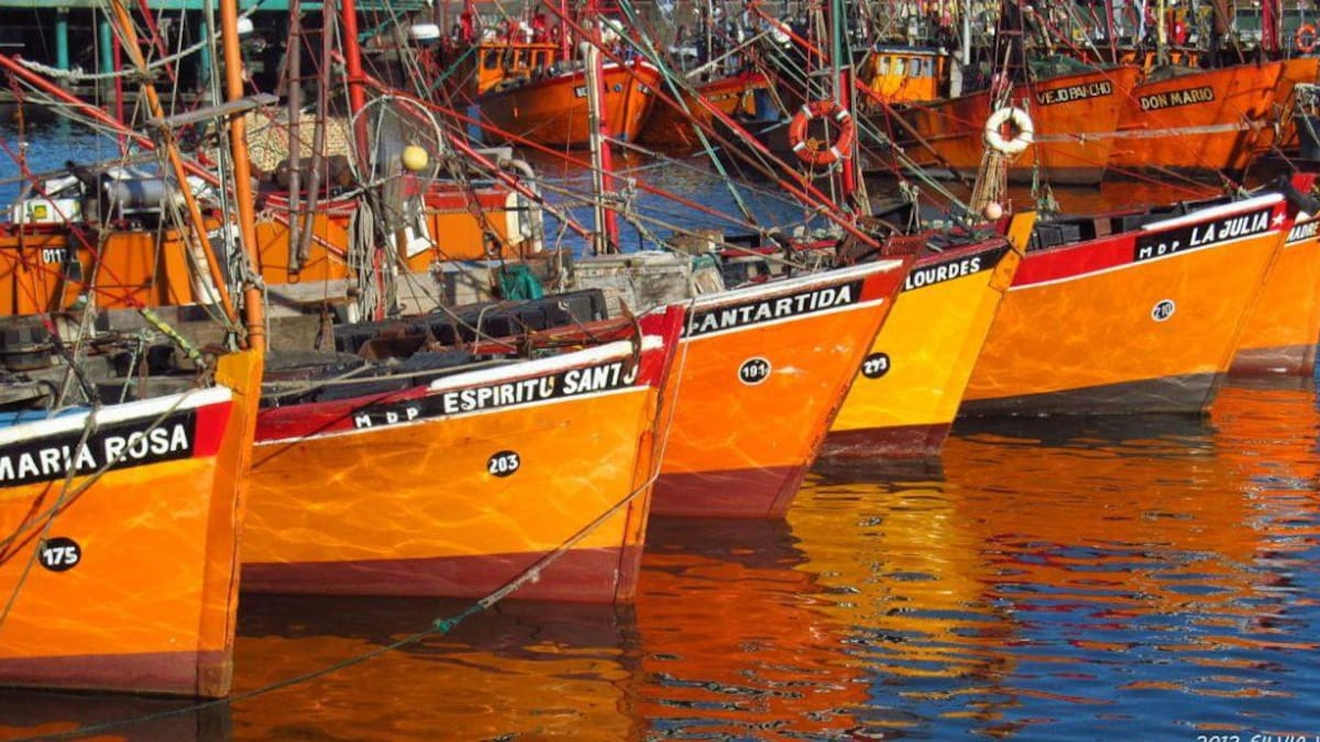 Pesqueros artesanales de Mar del Plata