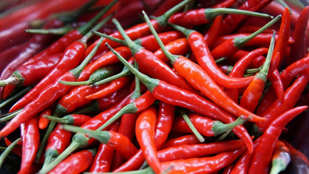 Picante, chile, condimento. Foto: Unsplash.