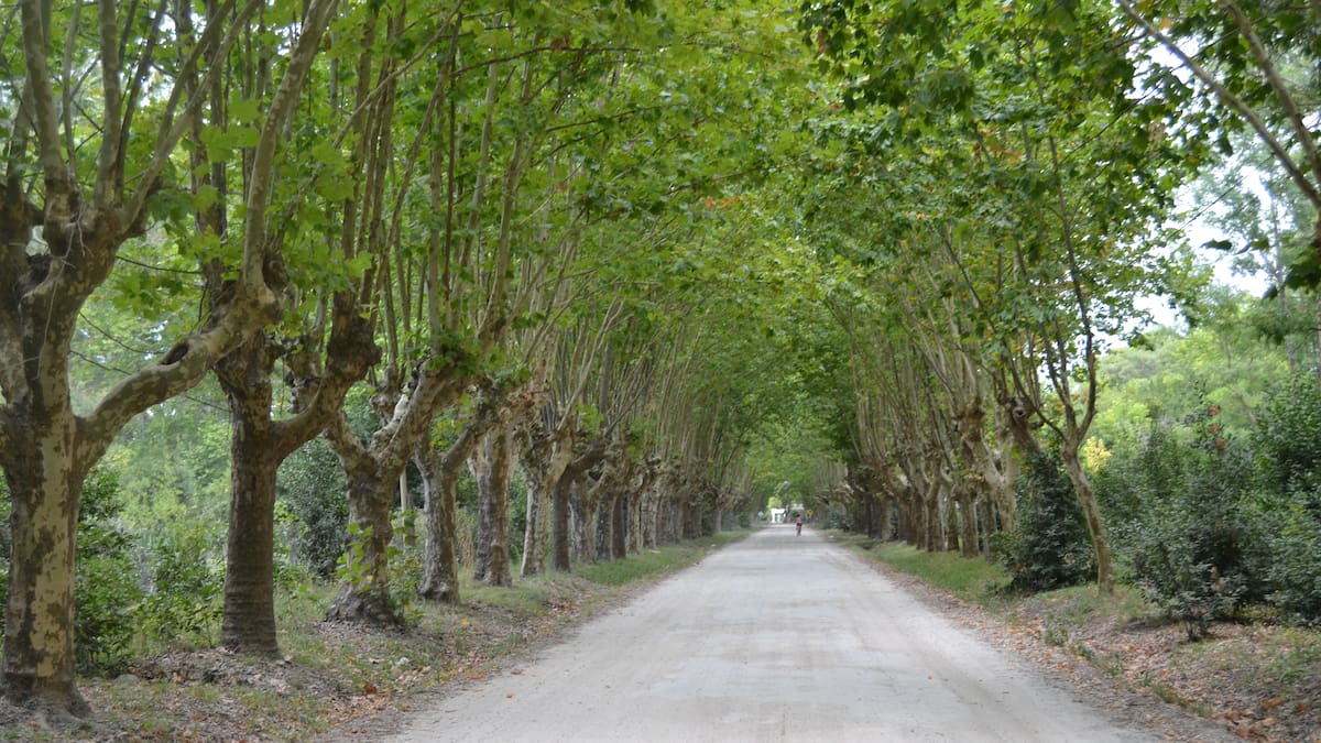 Pipinas, provincia de Buenos Aires