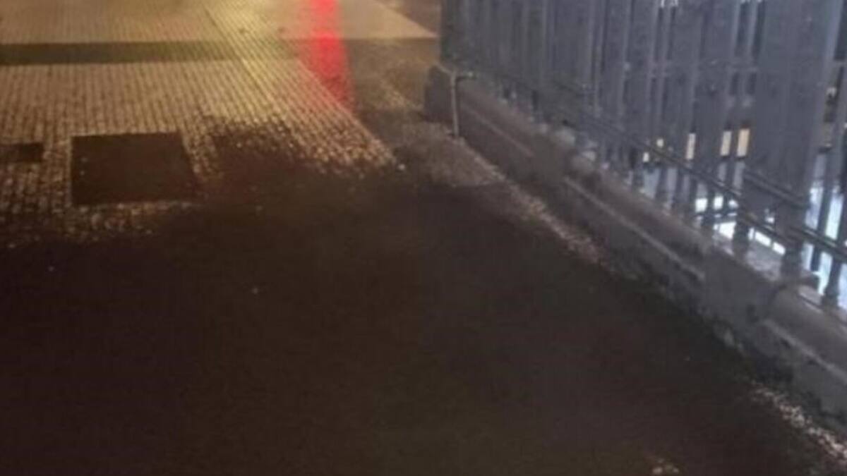 Plaga de mosquitos en el subte. Foto: redes sociales