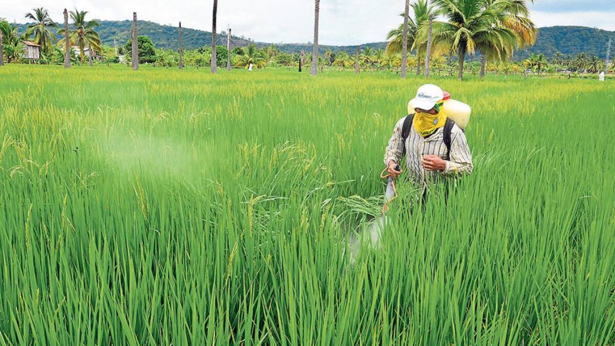 Plaguicidas en el campo.