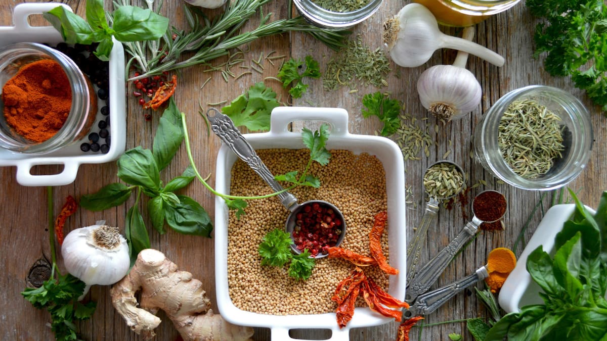 Plantas medicinales. Foto: Unsplash.