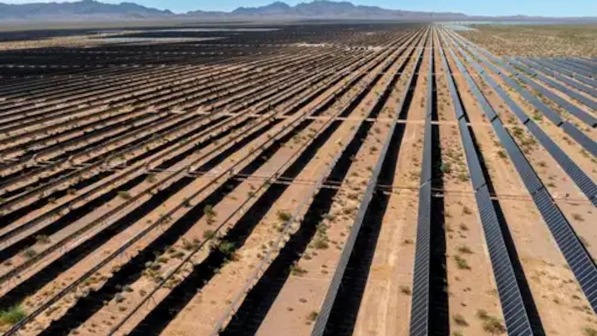 La planta de energía solar más grande de Estados Unidos cerró tras causar la muerte de aves: costó más de US$1000 millones.