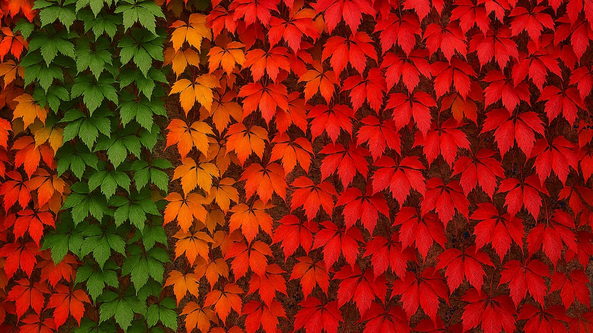 Jardines en otoño