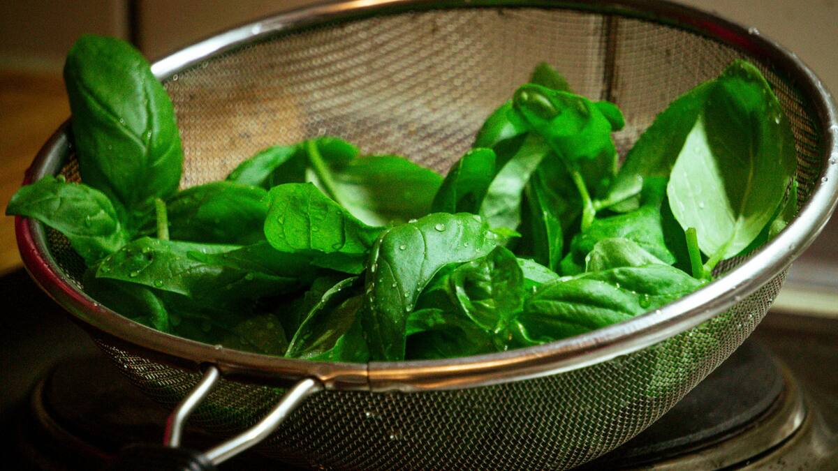 Albahaca. Foto: Unsplash.