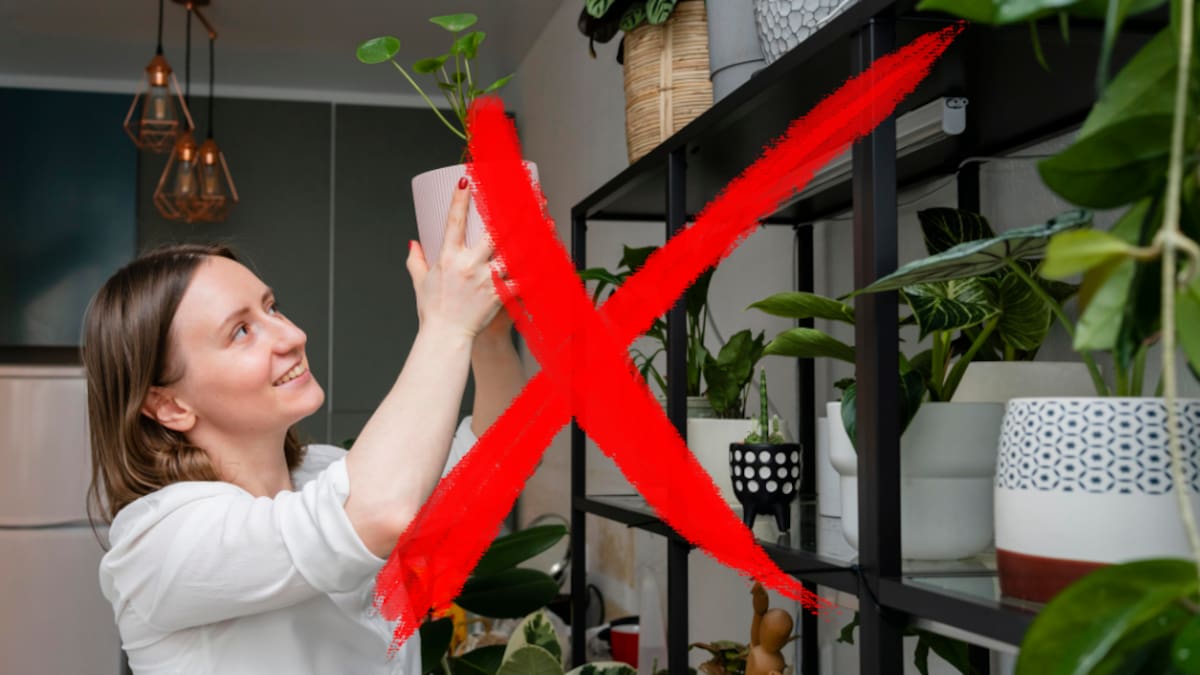 Las macetas tradicionales no van más: cuál es la nueva tendencia para decorar los balcones