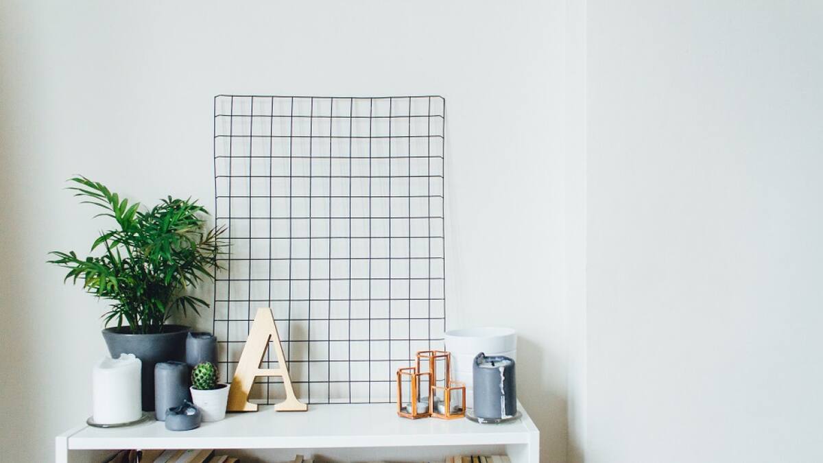 Plantas de interior. Foto: Unsplash.