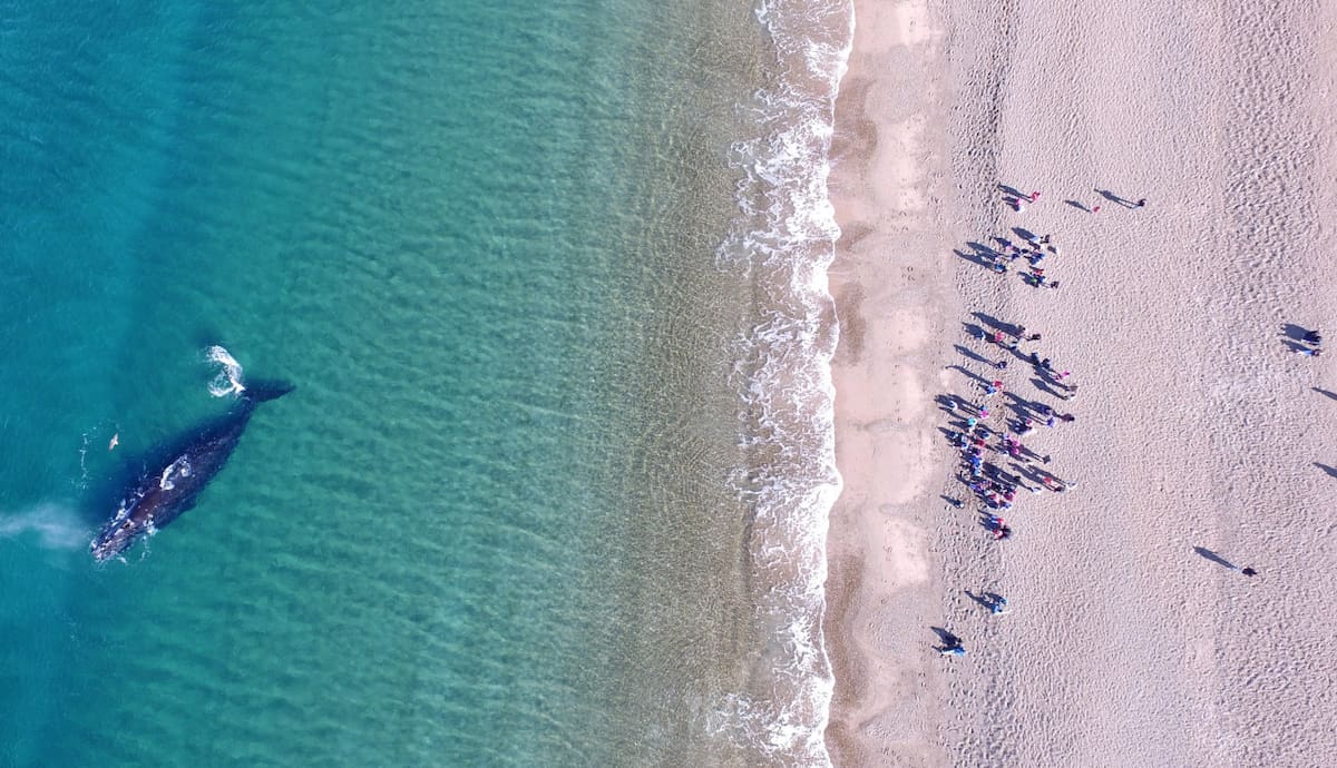Playa El Doradillo, Chubut. Foto: X