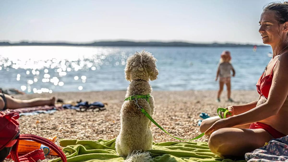 Playa para perros en Fažana, Croacia.